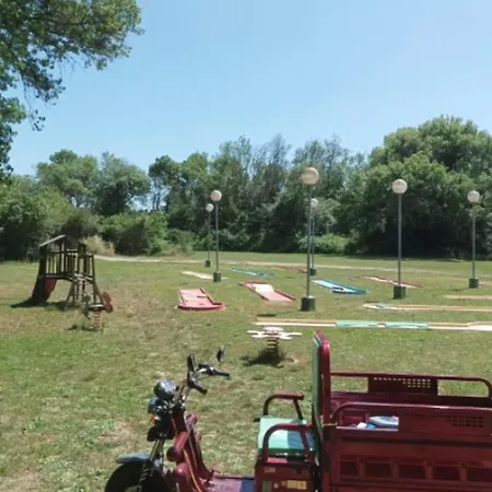Sur Pilotis Avec Terrasse Pour 5 Personnes - Api-1-52-1504