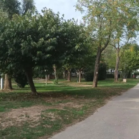 Sur Pilotis Avec Terrasse Pour 5 Personnes - Api-1-52-1504 Kamp alanı *